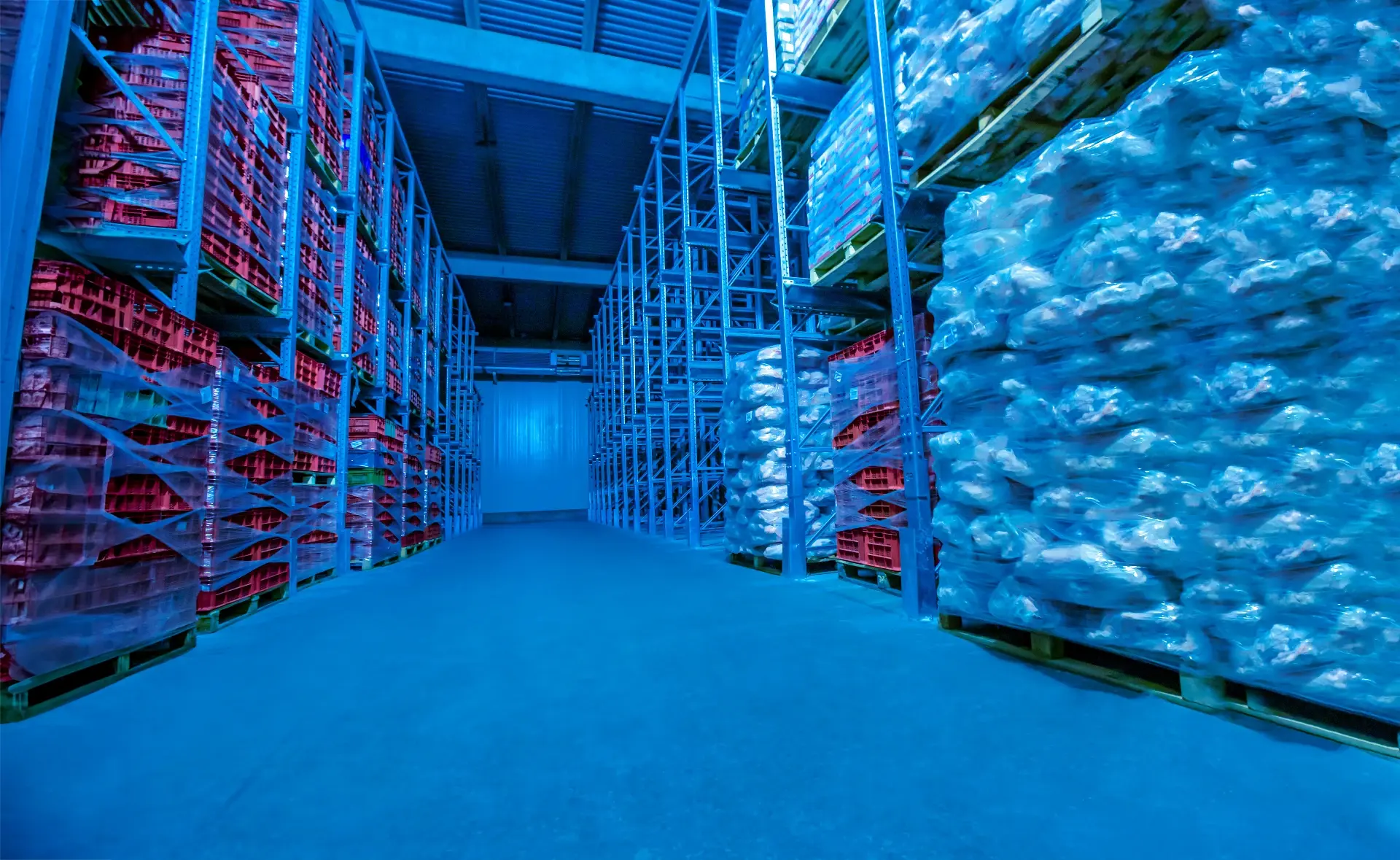 Reliable Cold Storage Solutions